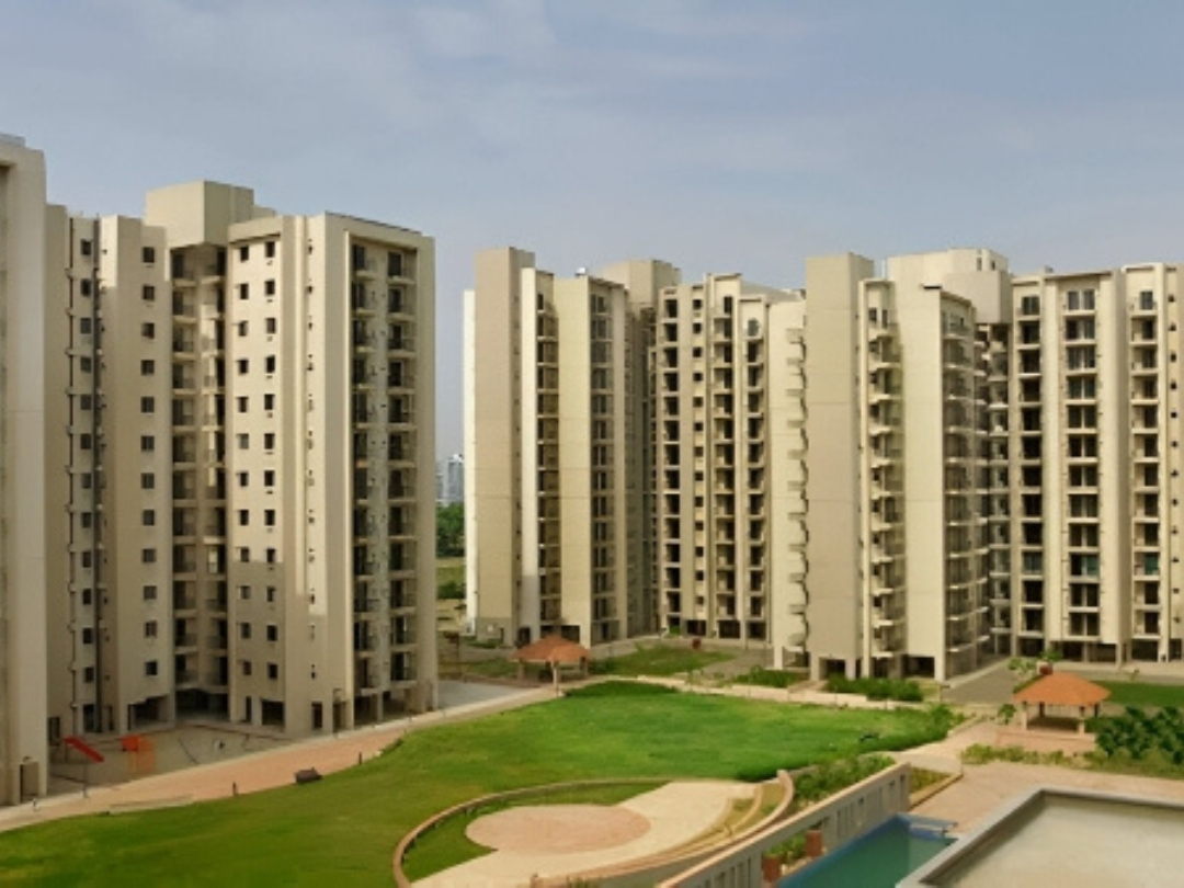 Delhi NCR