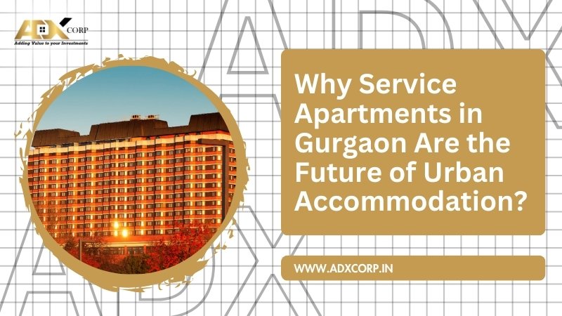 Informative banner showcasing service apartments in Gurgaon as the future of urban living, with ADX Corp branding and website link.