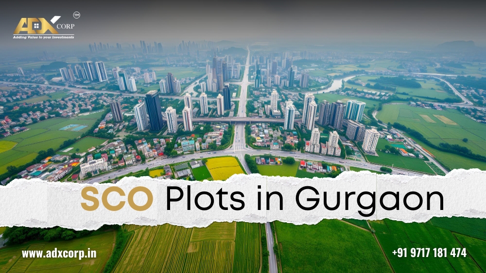 SCO Plots in gurgaon