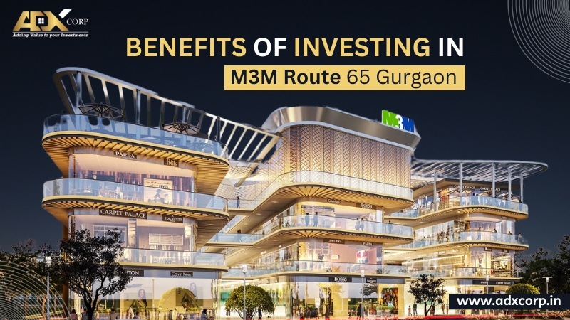Benefits of Investing in M3M Route 65 Gurgaon