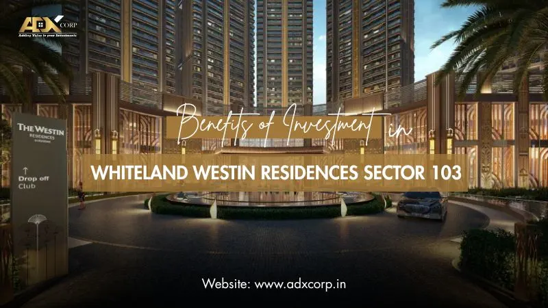 Investment in Whiteland Westin Residences